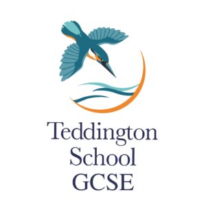 Teddington School GCSE
