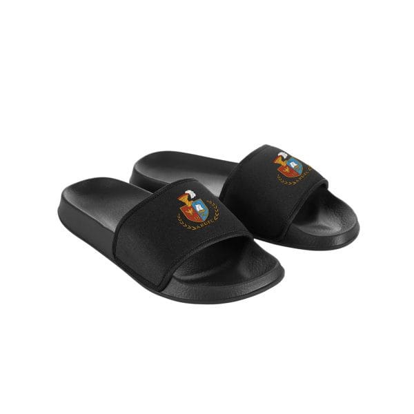 Ambleside RUFC Sliders