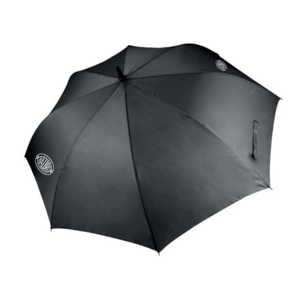 Umbrella - Image 2