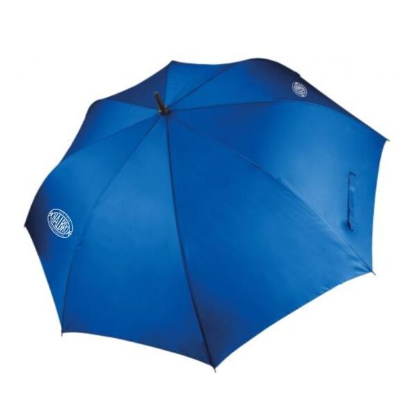 Umbrella - Image 3